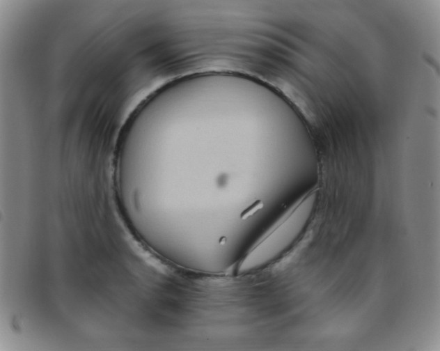 X0000097481134200803141929