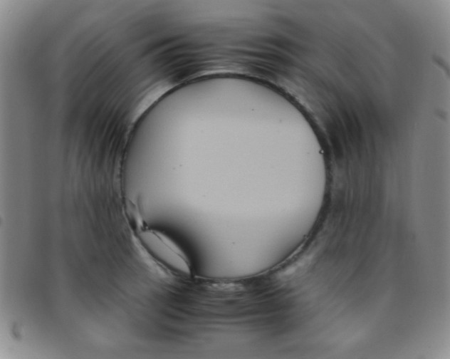 X0000097481137200803141929