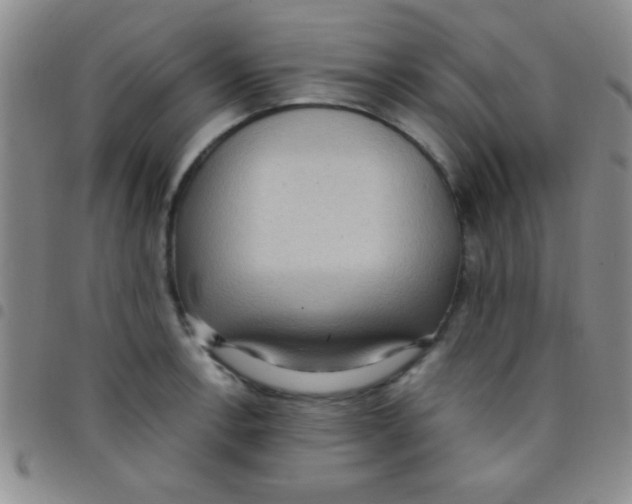 X0000097481138200803141929