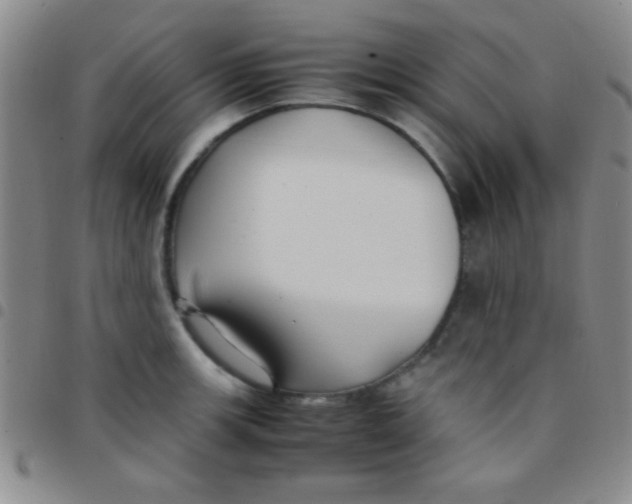 X0000097481139200803141929