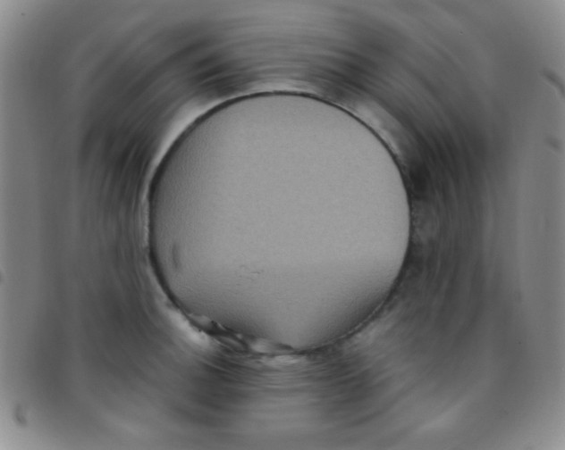 X0000097481140200803141929