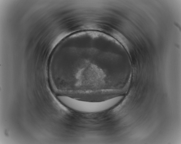 X0000097481141200803141929