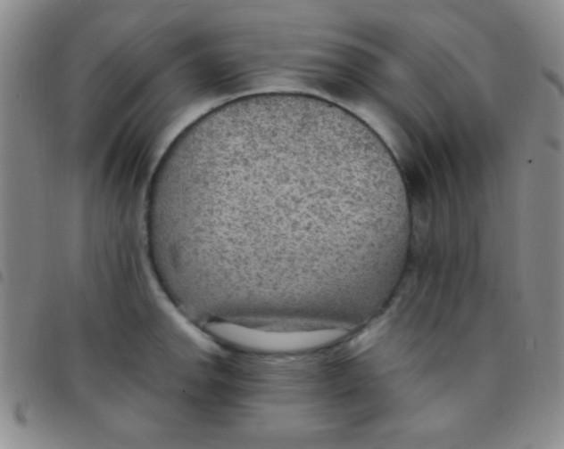 X0000097481142200803141929