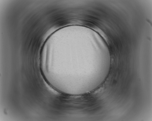 X0000097481143200803141929