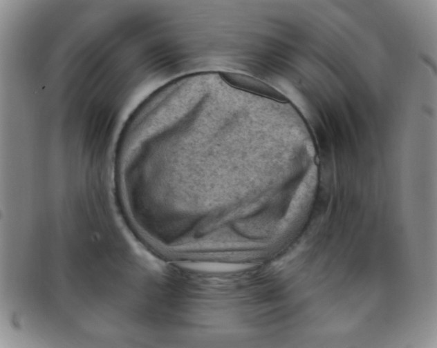 X0000097481144200803141929