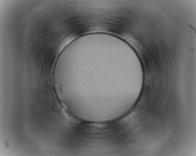 X0000097481145200803141929