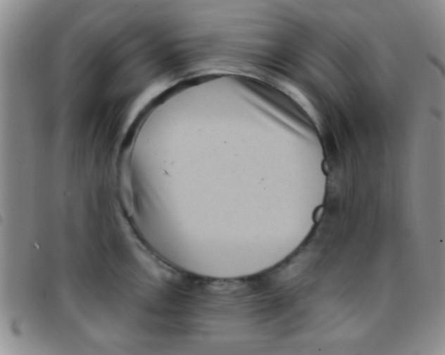 X0000097481146200803141929