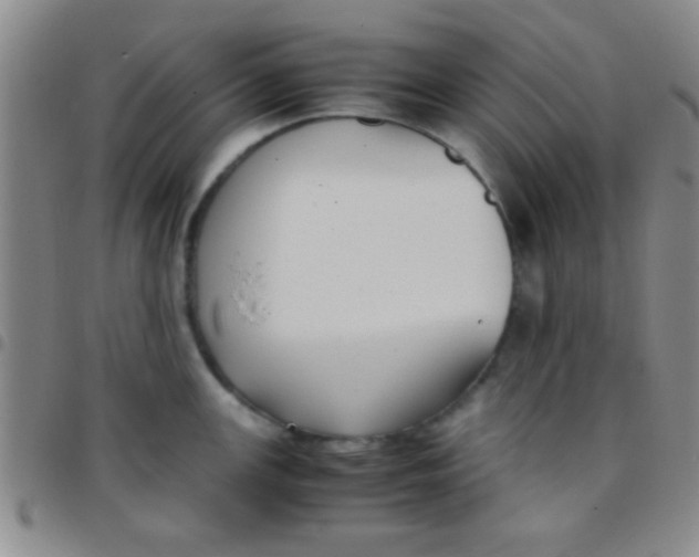 X0000097481147200803141929