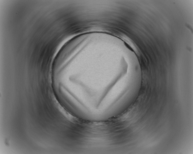 X0000097481148200803141929