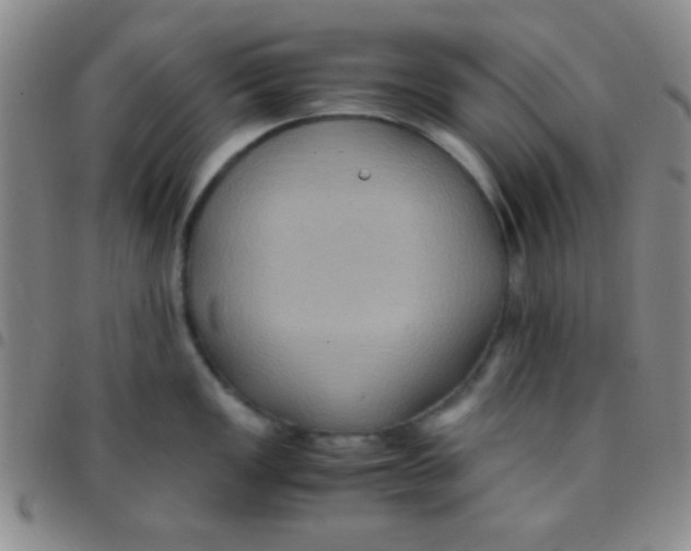 X0000097481149200803141929