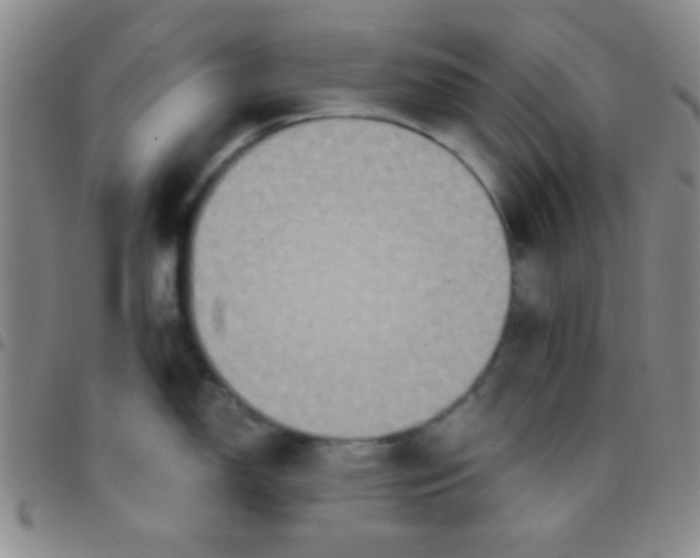 X0000097481150200803141929