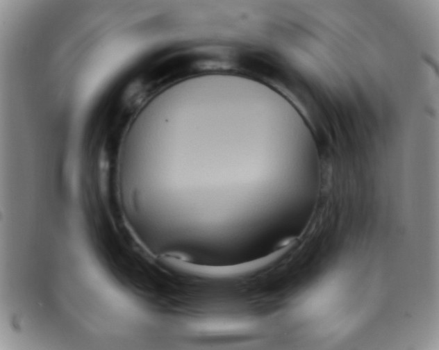 X0000097481151200803141929