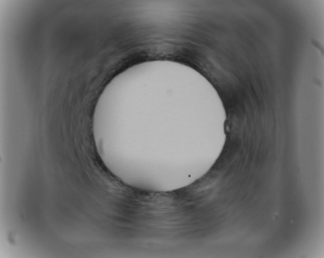 X0000097481153200803141929