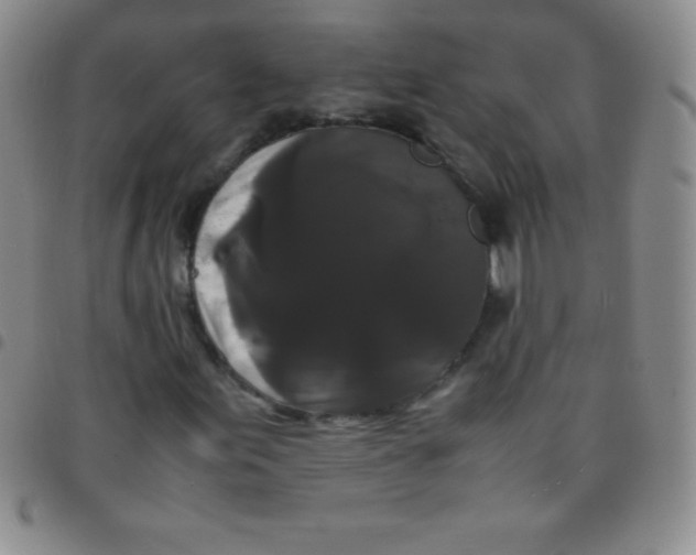 X0000097481155200803141928