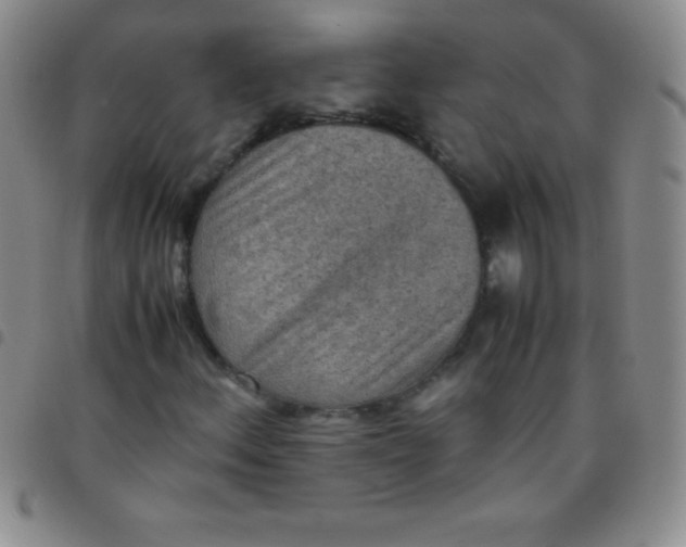 X0000097481156200803141928