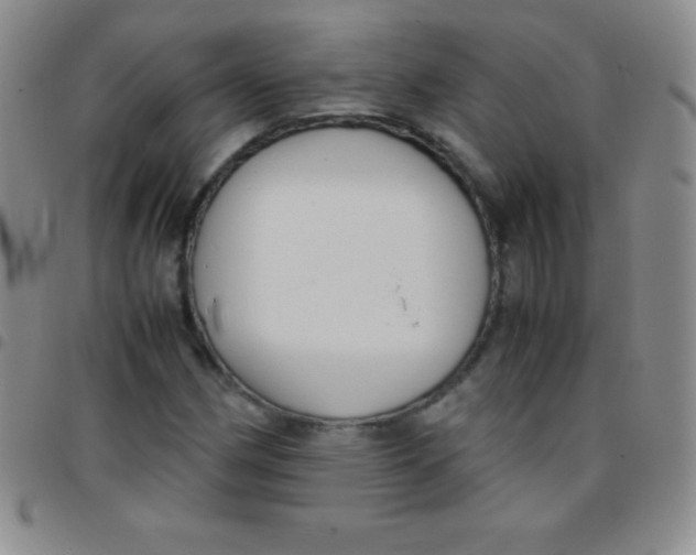 X0000097481162200803141928