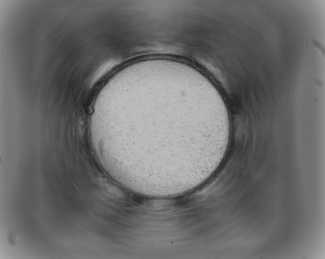 X0000097481163200803141928