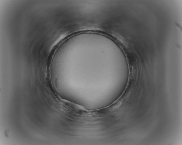 X0000097481165200803141928