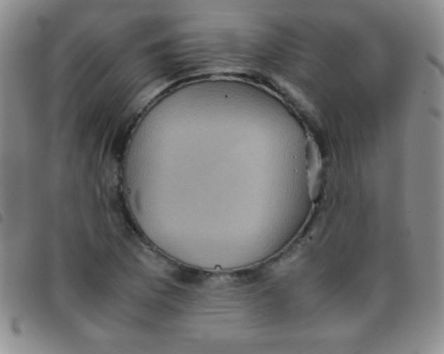 X0000097481169200803141928