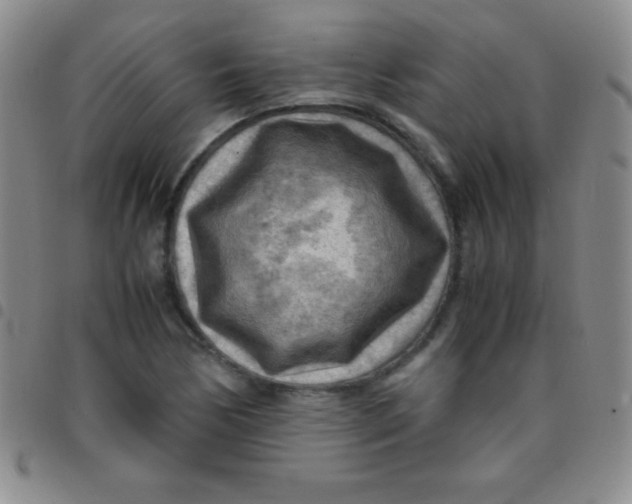 X0000097481170200803141928