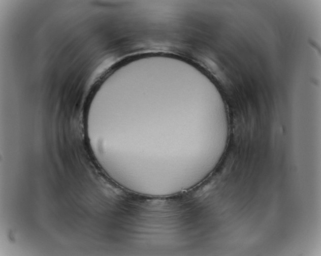 X0000097481172200803141928