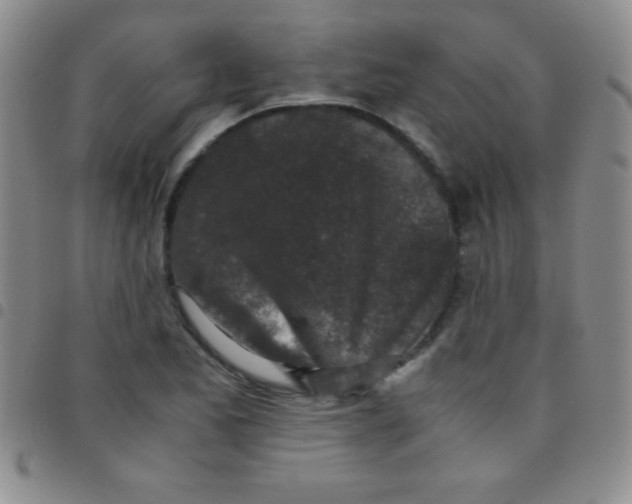 X0000097481173200803141928