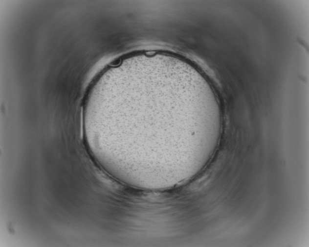 X0000097481175200803141928