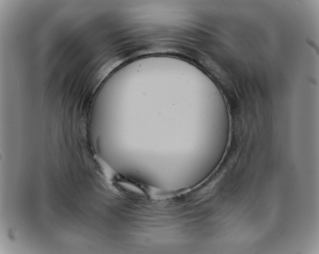 X0000097481177200803141928