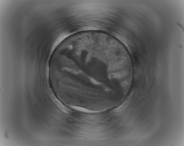 X0000097481179200803141928