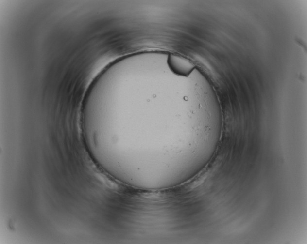 X0000097481182200803141928