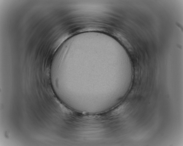 X0000097481185200803141928