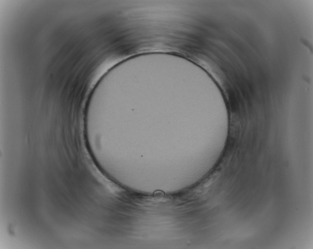 X0000097481187200803141928