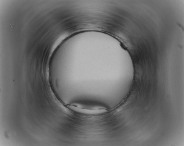 X0000097481188200803141928