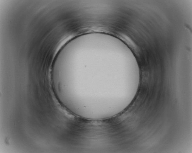 X0000097481190200803141928