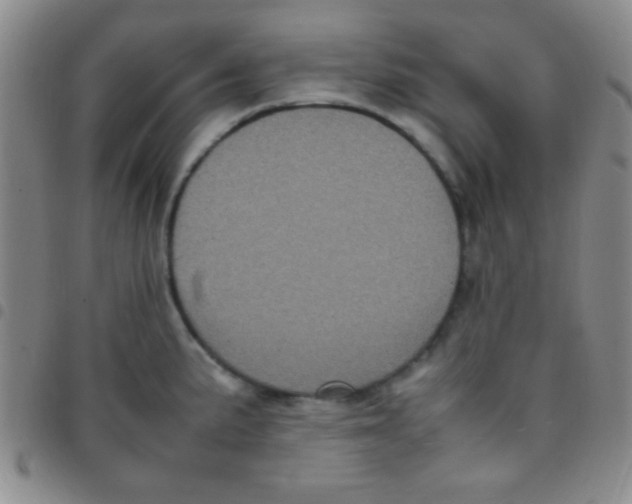 X0000097481191200803141928