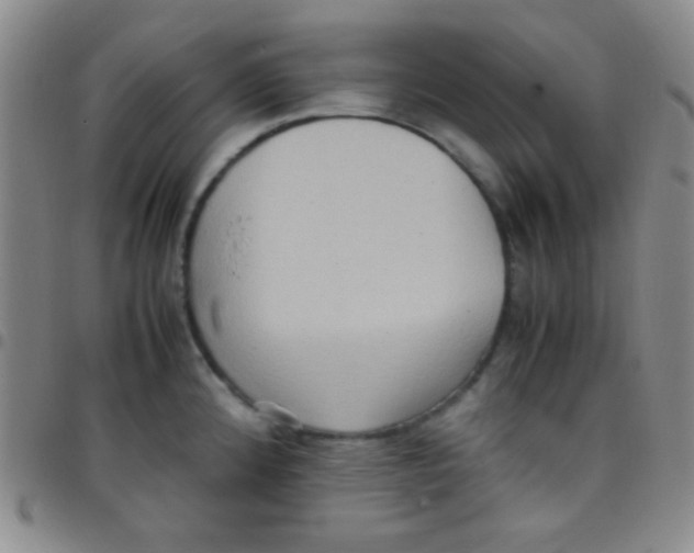 X0000097481192200803141928