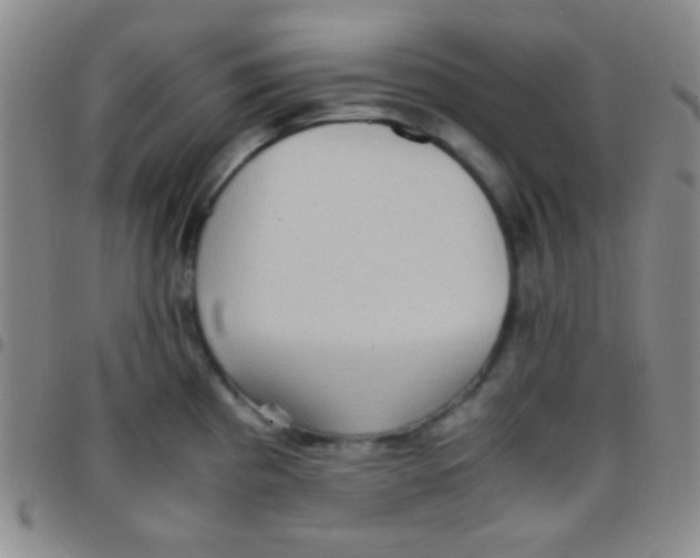 X0000097481193200803141928