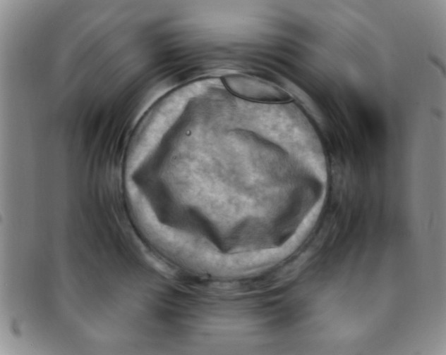 X0000097481194200803141928