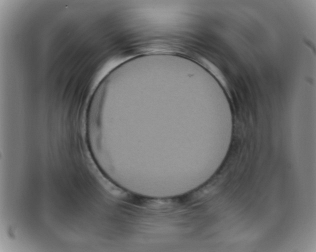 X0000097481195200803141928