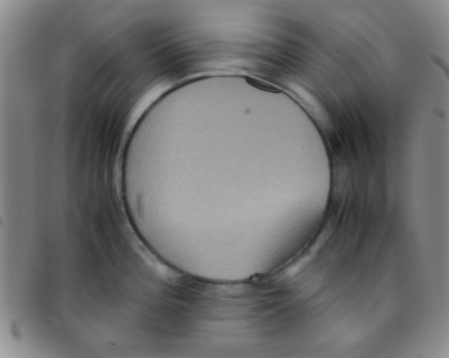 X0000097481196200803141928