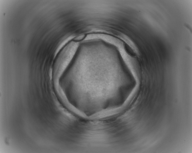 X0000097481198200803141928