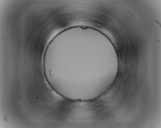 X0000097481199200803141928