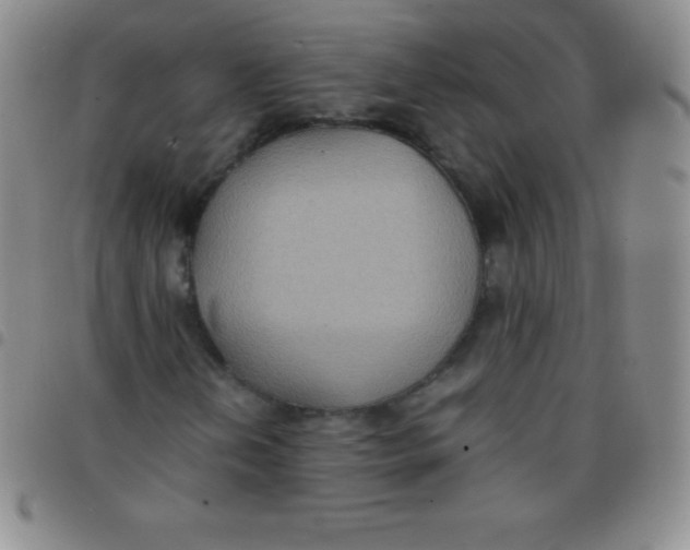 X0000097481202200803141927