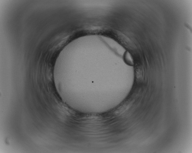 X0000097481204200803141927