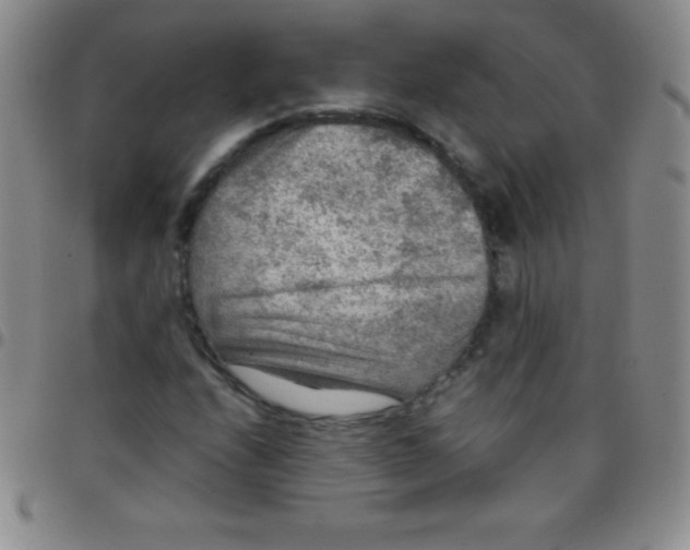 X0000097481208200803141927