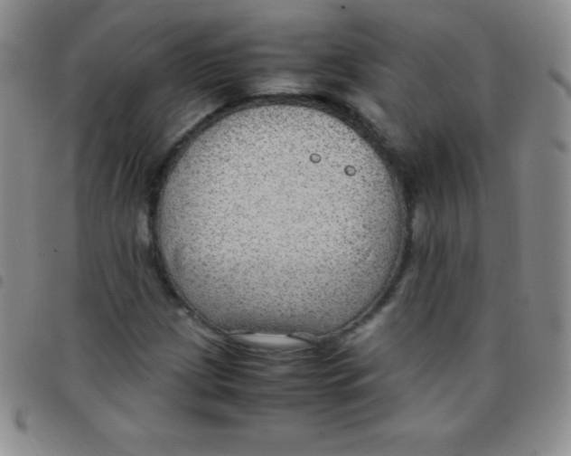 X0000097481209200803141927