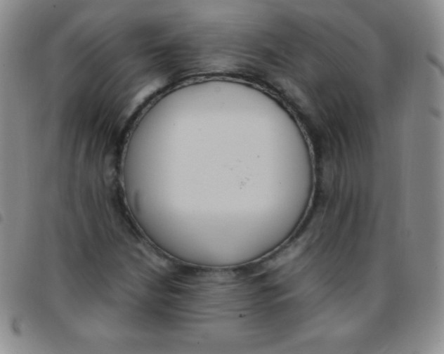 X0000097481210200803141927