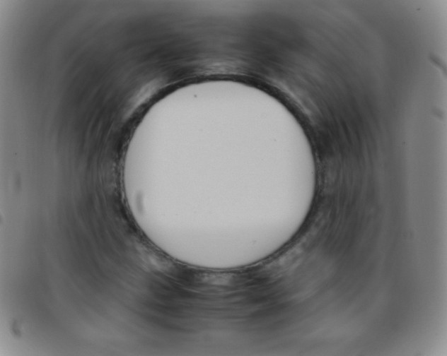 X0000097481211200803141927