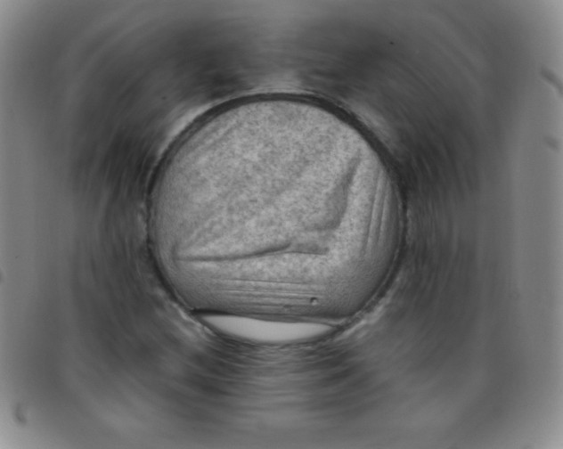 X0000097481212200803141927