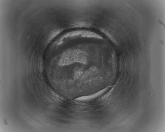 X0000097481213200803141927